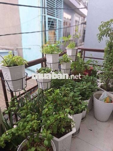 🏡 Nhà HTP Q7(gần Siêu thị Go), Nhỉnh 3 Tỉ