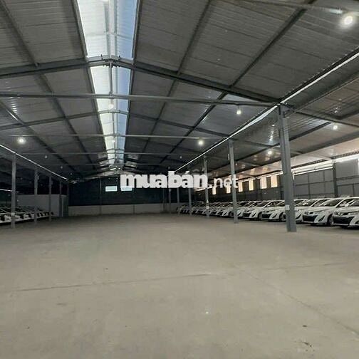Kho diện tích lên đến 1200m2 cần cho thuê gấp ở Nguyễn Văn Qùy