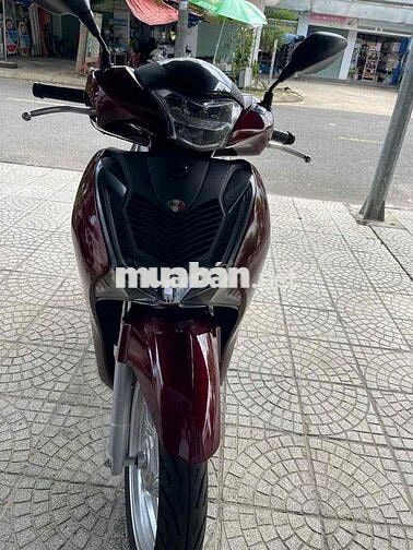 Bán SH đời 2019 Chính chủ