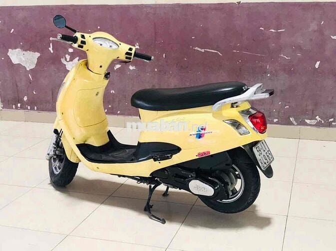 Eliazbth vàng đen bstp