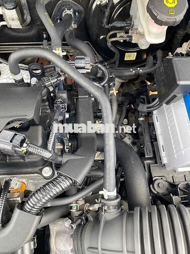 Accent 2020  Tự Động Xe rin