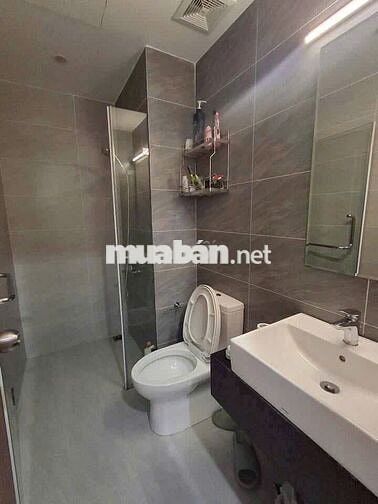 Chung cư Carillon 5, Trịnh Đình Thảo, TP: 2p ngủ, 2wc, NT mới, 11tr