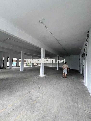 Cho thuê kho diện tích khủng 500m2 Mặt tiền đường lớn Lý Thường Kiệt P