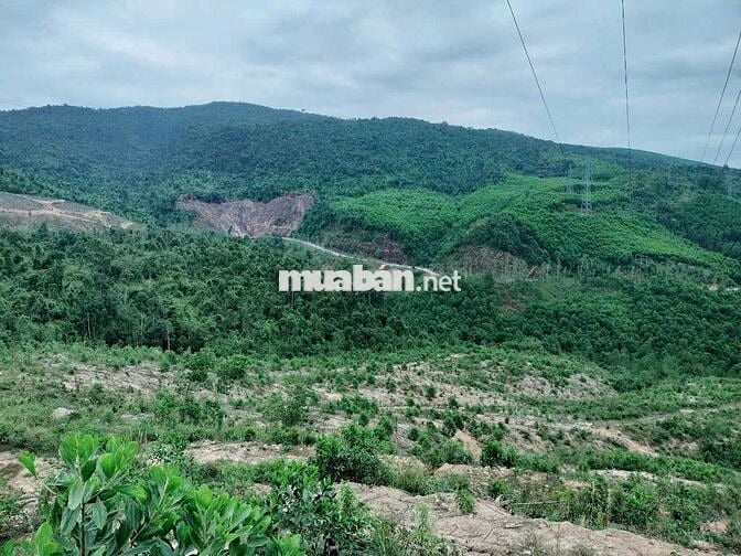 Cần bán đất rẻ 10 ha  bám suối Mặt tiền ql 14b Nam Giang TP Đà Nẵng