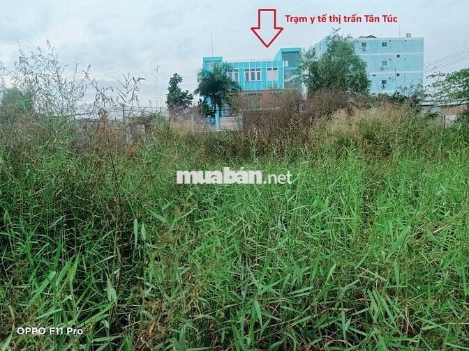 BÁN ĐẤT THỔ CƯ TRUNG TÂM THỊ TRẤN TÂN TÚC – HẺM XE HƠI, GẦN TRẠM Y TẾ