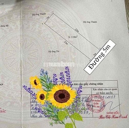 Bán đất mặt ngõ Oto tránh nhau gần Trần Hoàn hướng Đông Nam 110m