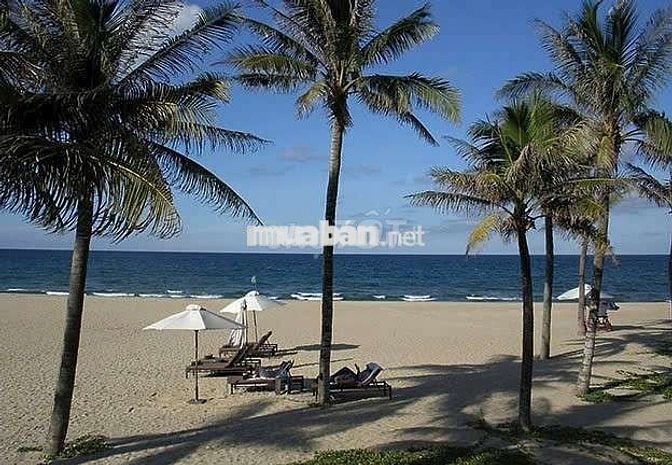 Đất ở Đà Nẵng gần biển Nam Ô và cảng lớn
