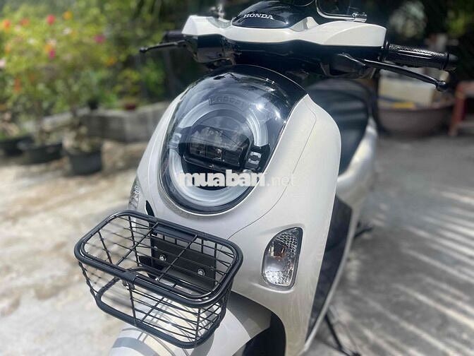 scoopy chạy 500km