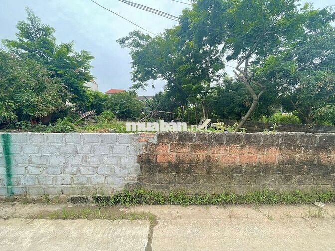 🪴 LÔ ĐẤT siêu đẹp – Hồng Vân - Thường Tín - HÀ NỘI 
🚀 Diện tích 80m²