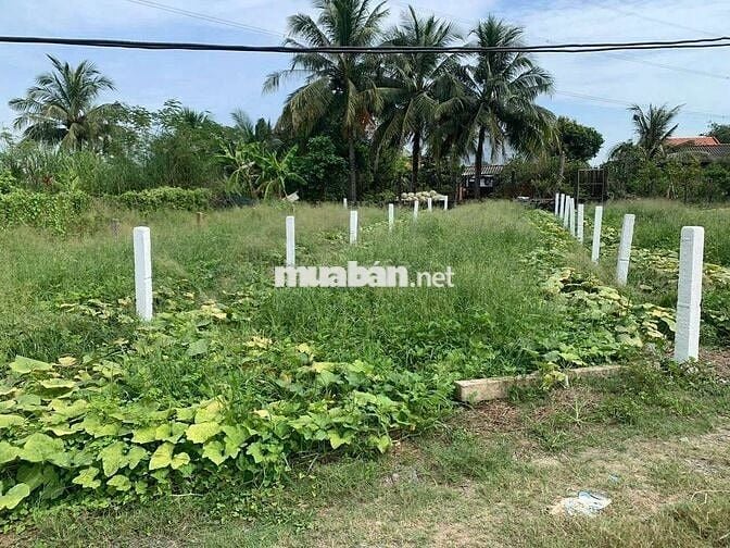 380tr CÓ NGAY 123MV THỔ CƯ ,ÔTÔ ĐẬU NGAY ĐẤT, TÂN TRỤ LONG AN