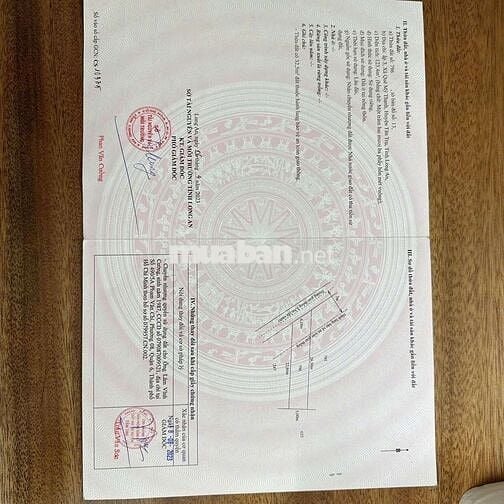 380tr CÓ NGAY 123MV THỔ CƯ ,ÔTÔ ĐẬU NGAY ĐẤT, TÂN TRỤ LONG AN