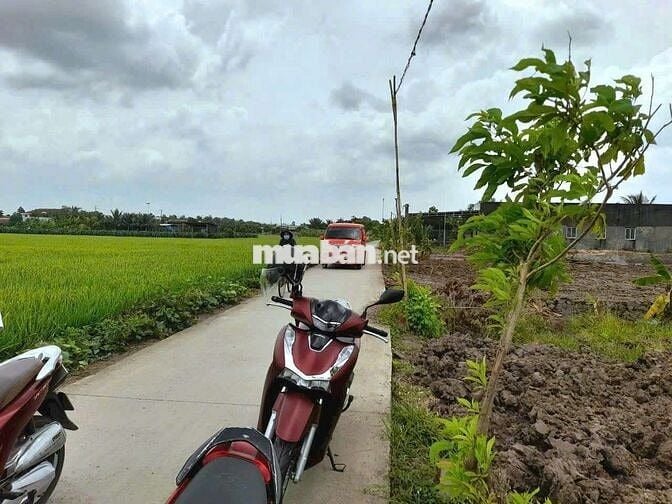 Quá đẹp, 135m2 đất thổ cư 5x 27m đường nguyễn văn ánh chỉ 650tr