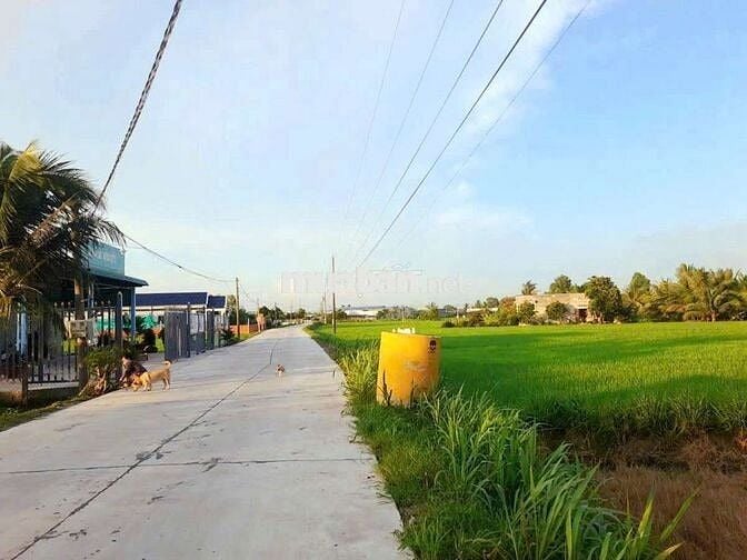 Quá đẹp, 135m2 đất thổ cư 5x 27m đường nguyễn văn ánh chỉ 650tr
