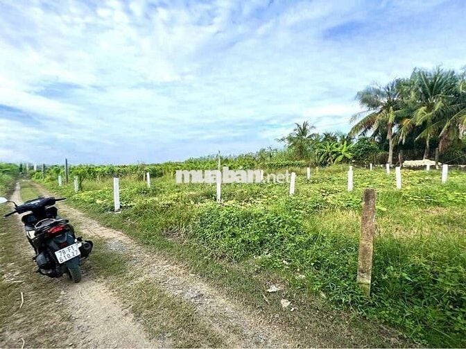 380tr CÓ NGAY 123MV THỔ CƯ ,ÔTÔ ĐẬU NGAY ĐẤT, TÂN TRỤ LONG AN
