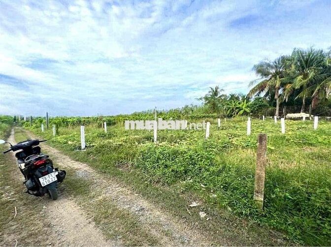 dt:123mv thổ , giá : 380tr , xã quê mỹ thạnh - tân trụ - long an