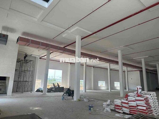 giới thiệu:   CHO THUÊ NHÀ XƯỞNG TẠI các KCN BÌNH PHƯỚC