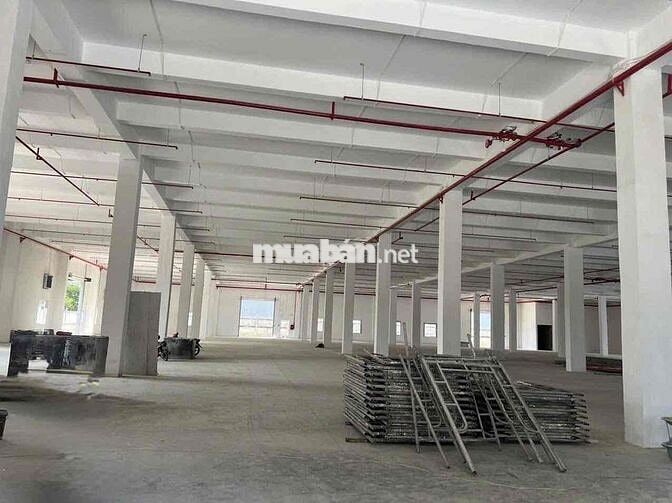 giới thiệu:   CHO THUÊ NHÀ XƯỞNG TẠI các KCN BÌNH PHƯỚC