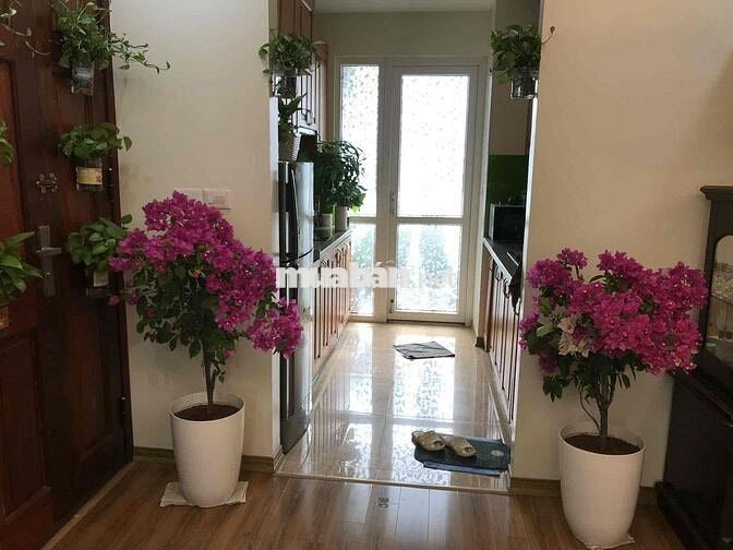 cho thuê căn góc tầng 22 toà B udic 122 vĩnh tuy