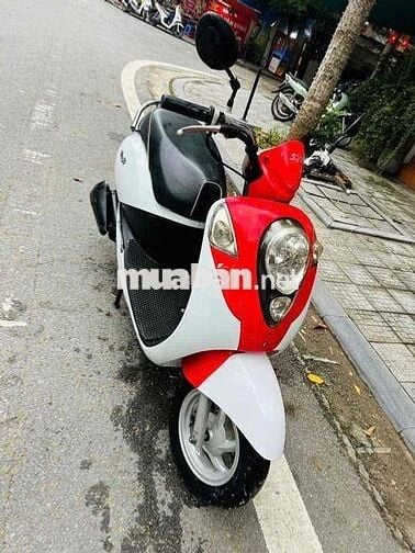 elite 2019 zin chất