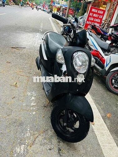 eliter 50cc 2020