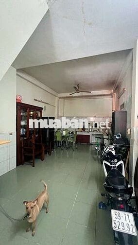 Bán nhà 4 tầng 62m2, đường lớn xe tải 8m thông Bùi Quang Là, Gò Vấp.