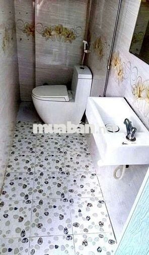 Cho thuê nhà MTKD Trần Thánh Tông phường 15 quận Tân Bình