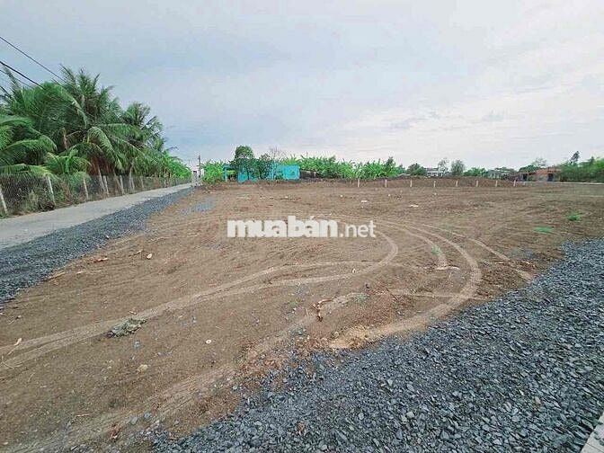 Chính chủ bán gấp lô đất 2 MT Đ.QL50 Tân Trung Gò Công Tiền Giang