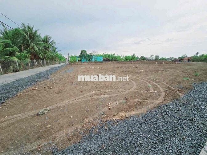 Chính chủ bán gấp lô đất 2 MT Đ.QL50 Tân Trung Gò Công Tiền Giang