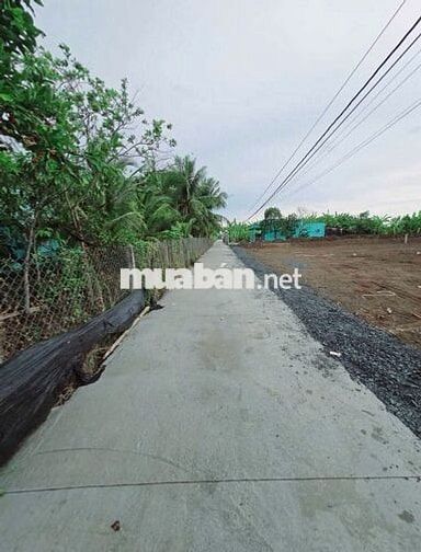 Đất to giá bé đầu tư sinh lời tp Gò Công 118m2