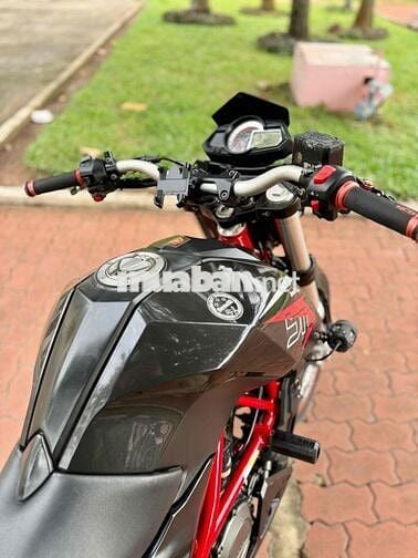Benelli BN251