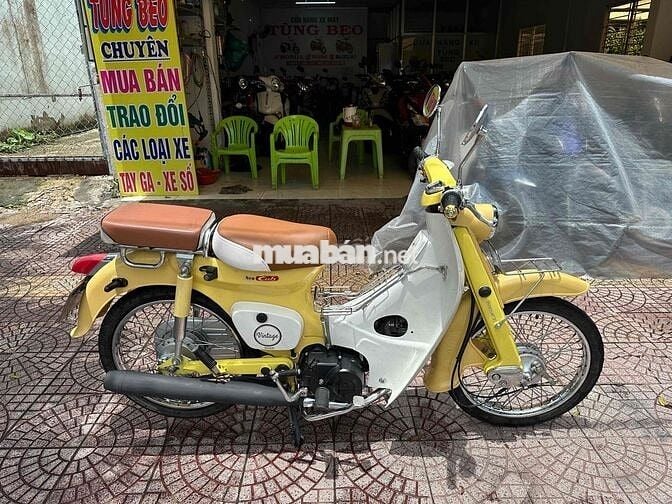 cub cổ 50c 2022 dep vĩnh long