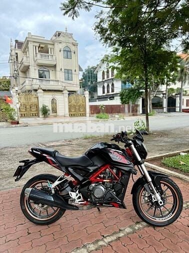 Benelli BN251