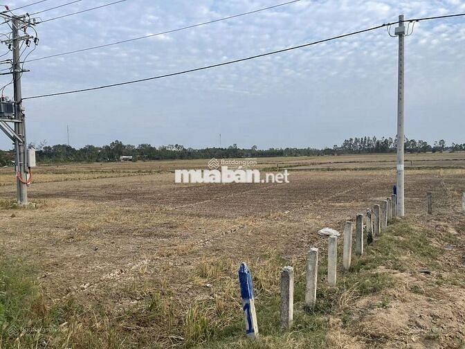 Đất có gần khu công nghiệp Trần Đề, gần siêu cảng quốc tế Trần Đề