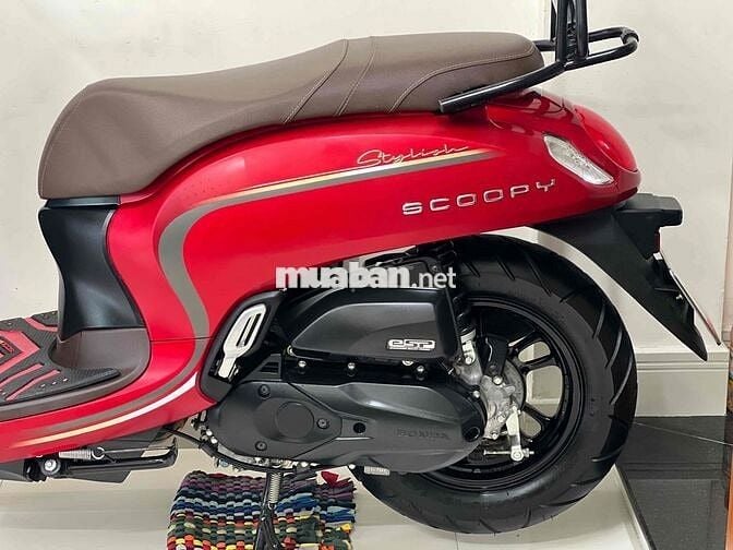 scoopy 2024