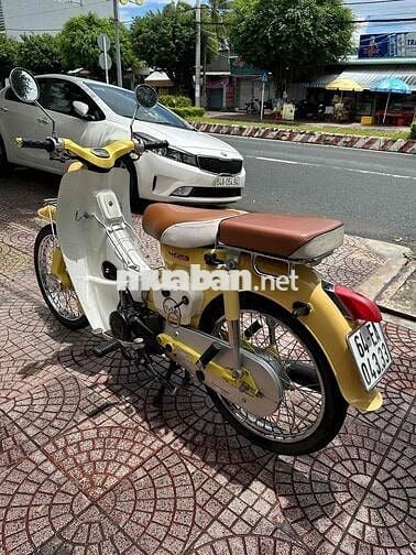 cub cổ 50c 2022 dep vĩnh long