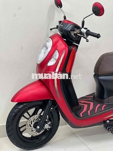 scoopy 2024