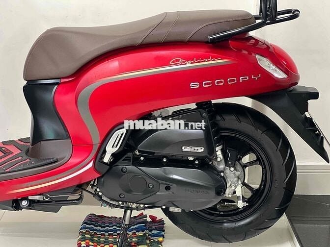 scoopy 2024