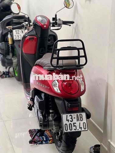 scoopy 2024