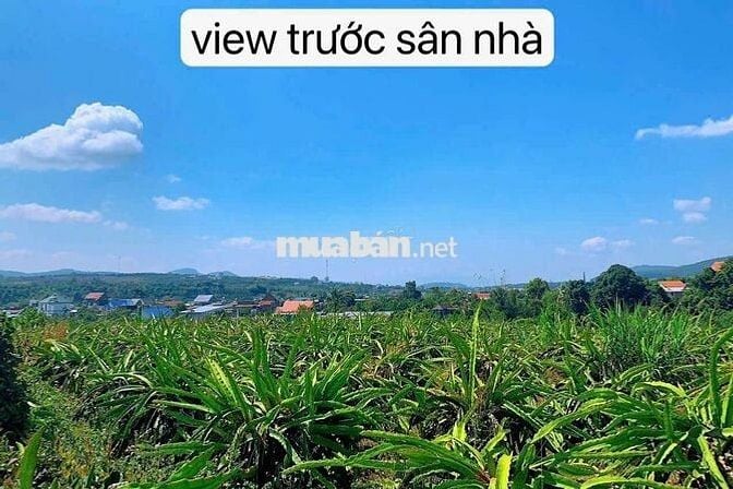 Bán lô đất vườn view đẹp xã Nam Ban(xã Đông Thanh cũ) Lâm Hà, Lâm Đồng