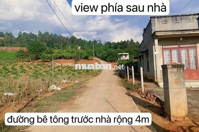 Bán lô đất vườn view đẹp xã Nam Ban(xã Đông Thanh cũ) Lâm Hà, Lâm Đồng
