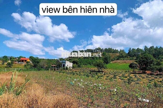Bán lô đất vườn view đẹp xã Nam Ban(xã Đông Thanh cũ) Lâm Hà, Lâm Đồng