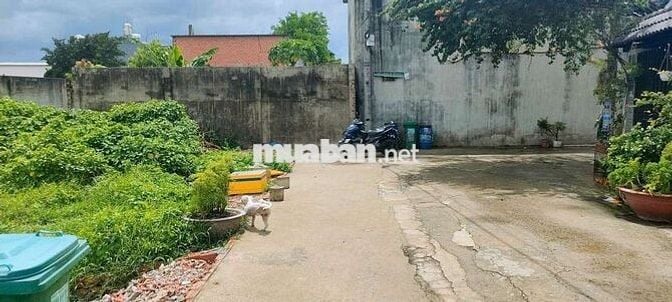 Đất thổ cư 1/Thới Tứ 1-Thới Tam Thôn-Hóc Môn.Dt 6x25~180m2~3,5ty
