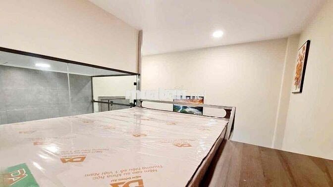 Cho Thuê Căn Hộ Duplex Có Gác Full Nt Nguyễn Đình Chiểu Q3