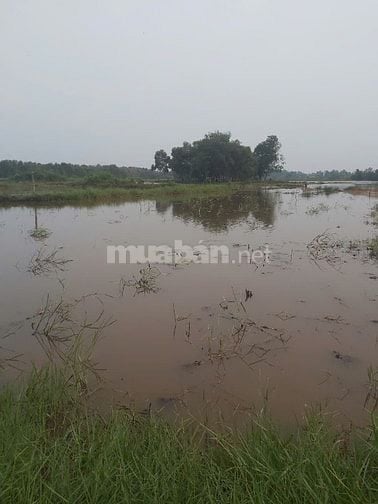Đất rộng ngay khu dân cư đông vui 