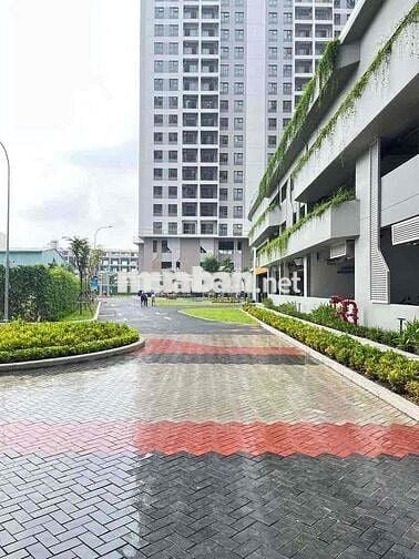 Chính chủ cho thuê Privia 1pn+ 51m2 nhà mới chưa ở