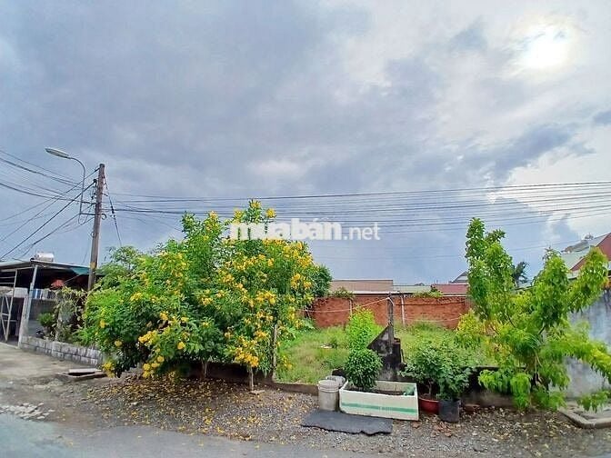 ĐẤT 2 MẶT TIỀN TẠI TÂN THẠNH ĐÔNG, CỦ CHI
