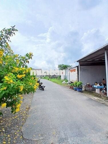 ĐẤT 2 MẶT TIỀN TẠI TÂN THẠNH ĐÔNG, CỦ CHI