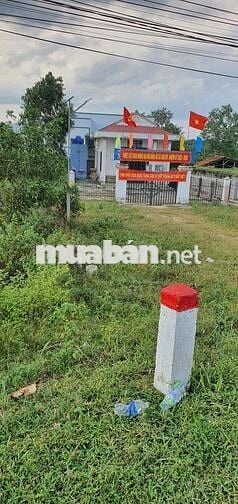 Đất trồng cây lâu năm, 300m, mặt tiền quốc lộ 55, Bình Thuận