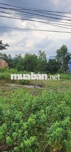 Đất trồng cây lâu năm, 300m, mặt tiền quốc lộ 55, Bình Thuận