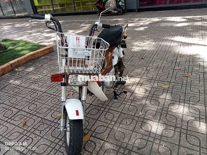 Chaly Việt Thái
